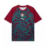 男子葡萄牙国家队热身球衣足球运动短袖t恤784788-37